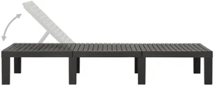 vidaXL Leżak plastikowy antracytowy 315827 - Leżaki ogrodowe - miniaturka - grafika 4