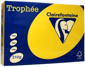 Papier do drukarek - Emerson Papier ksero A4 210g słoneczny Trophee 2210 - miniaturka - grafika 1