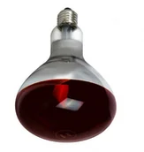 Żarówki tradycyjne - Bellight ZARÓWKA LAMPA GRZEWCZA R125 E27 150W PROMIENNIK CLEAR 13540644 13540644 - miniaturka - grafika 1