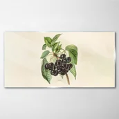 Obrazy i zdjęcia - PL Coloray Obraz Szklany Winogrona Liście Gałąź 100x50cm - miniaturka - grafika 1