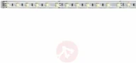Taśmy LED - Paulmann Taśma LED MaxLED Tunable White 70630 ze złączem męskim 24 V 100 cm ciepły biały biały neutralny biały światła dziennego - miniaturka - grafika 1