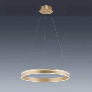 Paul Neuhaus Inteligentna lampa wisząca mosiądz 59 cm z pilotem - Ronith - Systemy inteligentnych domów - miniaturka - grafika 4