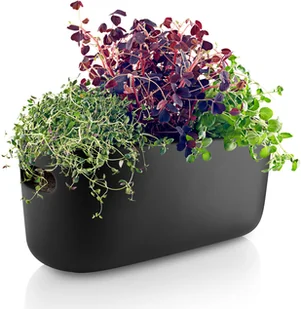 Eva Solo Doniczka samopodlewająca czarna 568169 - Pojemniki na przyprawy - miniaturka - grafika 2