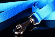 Smycze dla psów - Haas F1 Team ZOO LESZCZ (PL) Solidna Dla Psa Taśma 30 mm ZL014 ZOOLESZCZ (PL) - miniaturka - grafika 1