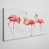 Obrazy i zdjęcia - PL Coloray Obraz na Płótnie zwierzę ptak flaming 100x50cm - miniaturka - grafika 1