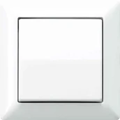 Wyłączniki światła i elektryczne - Jung as590ww przełącznik kołyskowy zapewnia przełącznik/przycisk AS590WW - miniaturka - grafika 1