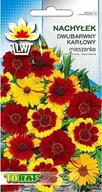 Nasiona i cebule - Toraf KWIATY Nachyłek dwubarwny nasiona 1g 00439 - miniaturka - grafika 1