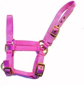 Kantary dla koni - Rhinegold Rhinegold Nylonowa obroża źrebięca - różowa - miniaturka - grafika 1