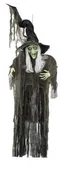 Stroje karnawałowe - Aster Aster, dekoracja Czarownica - miniaturka - grafika 1
