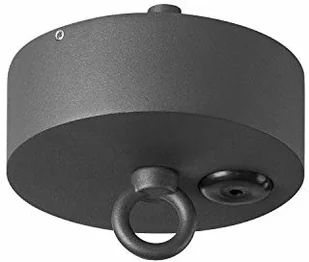 SLV SPOTLINE Ceiling canopy do PHOTONIA wisząca antracyt IP44 1000398 - Lampy sufitowe - miniaturka - grafika 2