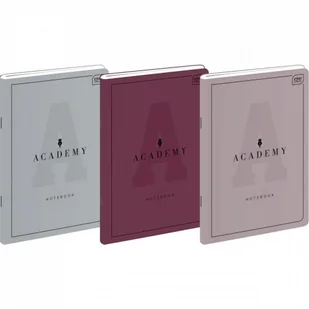 Inter-druk Zeszyt A4/60 kratka Academy 90g - Zeszyty szkolne - miniaturka - grafika 3