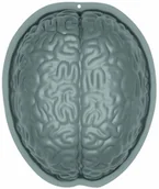 Halloween - Amscan Foremka na pudding Mózg - 1 szt. 9911680 - miniaturka - grafika 1