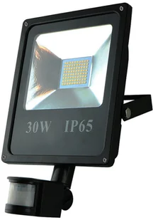 Eko-Light NAŚWIETLACZ LED EKN016 halopak 1x30W/LED IP65 6000K EKN016 - Lampy ogrodowe - miniaturka - grafika 2