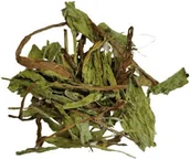 Przysmaki dla gryzoni - Zuzala BABKA LANCETOWATA SUSZONA 150G - miniaturka - grafika 1