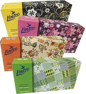 Linteo Chusteczki 100szt KARTON2warst 100%celuloza - Środki do kuchni i łazienki - miniaturka - grafika 2