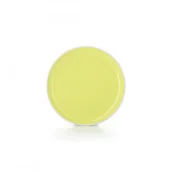 Talerze - Revol Talerz płaski 25 cm Citrus yellow Color Lab RV-650643-6 - miniaturka - grafika 1
