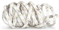 Taśmy LED - KOLORENO TAŚMA LED 12V | 3528 | 300LED | 5M | IP65 | BIAŁY - ECO TL12V352860IP65PWECO - miniaturka - grafika 1