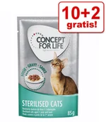 Mokra karma dla kotów - Concept for Life Concept for Life Maine Coon Adult, ragout - 12 x 85 g - miniaturka - grafika 1