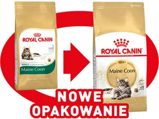 Royal Canin Maine Coon Adult 31 2kg + 12x Maine Coon Adult saszetka 85g Sos) 16648-uniw - Mokra karma dla kotów - miniaturka - grafika 6