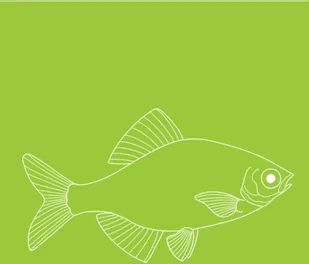 Wydawnictwo MAC Atlas biologiczny dla klasy 6 szkoły podstawowej 881347 - Podręczniki dla szkół podstawowych - miniaturka - grafika 4