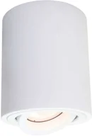 Oświetlenie warsztatowe - Light Prestige Tulon oprawa natynkowa biała LP-5441/1SM WH - miniaturka - grafika 1