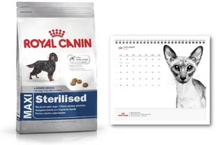 Royal Canin Maxi Sterilised 12 kg - Sucha karma dla psów - miniaturka - grafika 4