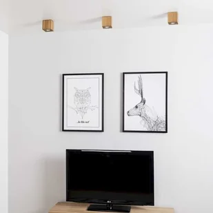 Spotlight Drewniana LAMPA sufitowa WOODDREAM 2076174 ekologiczna OPRAWA skandynawska kostka cube downlight dąb olejowany 2076174 - Lampy sufitowe - miniaturka - grafika 6