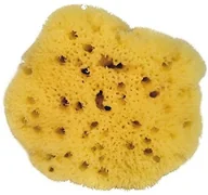 Pozostałe akcesoria do kąpieli i SPA - Croll & Denecke crollius + denecke naturalny gąbką levantiner L080 - miniaturka - grafika 1