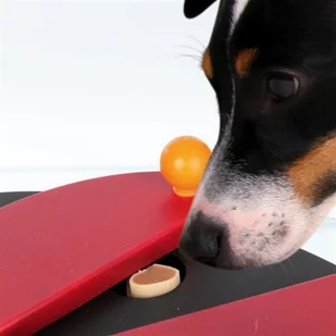 Trixie Dog Activity Pusch Away - dysk z kręglami - Zabawki dla psów - miniaturka - grafika 3