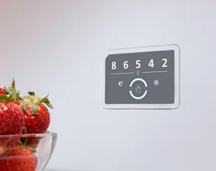 Lodówka Amica FK3556.4FZXAA - Lodówki - miniaturka - grafika 12