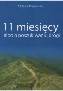 11 miesięcy albo o poszukiwaniu drogi - Religia i religioznawstwo - miniaturka - grafika 2
