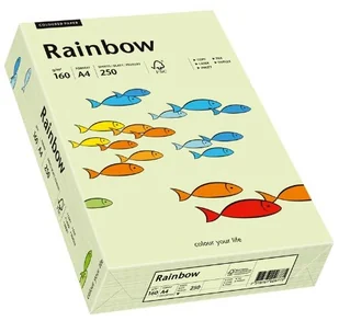 Papyrus Papier Rainbow A4 160g blado zielony R72 88042593 - Papier do drukarek - miniaturka - grafika 2