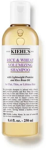 Tigi Ryż Kiehl kroki i pszenicy objętości Shampoo butelka normalny rozmiar 8.4oz (250ml) - Szampony do włosów Tigi Ryż Kiehl kroki i pszenicy objętości Shampoo butelka normalny rozmiar 8.4oz (250ml) - Szampony do włosów - miniaturka - grafika 1