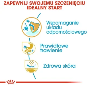 Royal Canin French Bulldog Junior 10kg Opakowanie uszkodzone 426) ! 257530 - Mokra karma dla psów - miniaturka - grafika 8