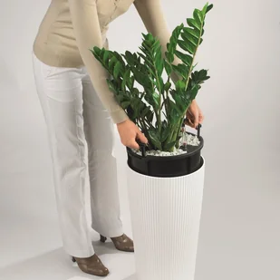 Lechuza Donica CILINDRO Color 23 piaskowy brąz - Donice - miniaturka - grafika 5