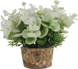 Zolux Roślina mała z zestawu nr 2 - Dekoracje do akwarium - miniaturka - grafika 3