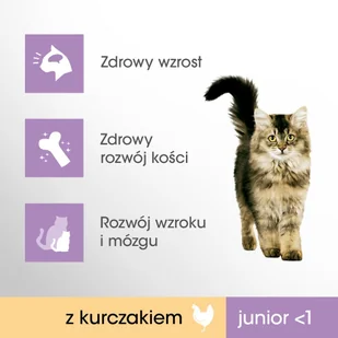 Perfect Fit Junior) 3 x 750g Bogaty w kurczaka sucha karma dla kotów - Mokra karma dla kotów - miniaturka - grafika 3