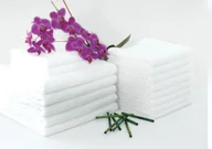 Ręczniki - Faro Ręcznik Cezar 70x140 Frotte Biały 600g - miniaturka - grafika 1