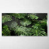 Obrazy i zdjęcia - PL Coloray Obraz Szklany Roślin Liście 100x50cm - miniaturka - grafika 1