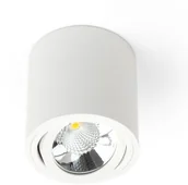 Lampy sufitowe - OxyLED Oprawa sufitowa spot tuba SASARI RO 15W ciepła 3000K biały śr. 16cm - 15 biały Biała Ciepła Koło OXY DLN15 36 3K R - miniaturka - grafika 1