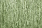 Kolejki i akcesoria - WoodlandScenics Trzcina, kolor jasno zielony l=5,08cm / 8g FG173 - miniaturka - grafika 1