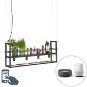 Systemy inteligentnych domów - QAZQA Przemysłowa lampa wisząca czarna z półką 4-źródła światła E27 WiFi - Cage Rack - miniaturka - grafika 1
