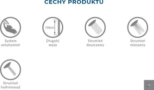 Kuchinox Kuchinox Intra Kolumna prysznicowa natynkowa z jednouchwytową baterią chrom PKI00OB - Akcesoria do armatury i ceramiki - miniaturka - grafika 3