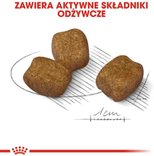 Royal Canin CCN Mini Dental Care 8 kg - Sucha karma dla psów - miniaturka - grafika 5