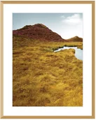 Obrazy i zdjęcia - Dekoria Obraz Grassy Field I 40x50cm 40x50cm 183-047-00 - miniaturka - grafika 1