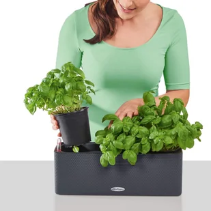 Lechuza Doniczka BALCONISSIMA Color 40 piaskowy brąz BALCONISSIMA C.40 PI - Donice - miniaturka - grafika 10