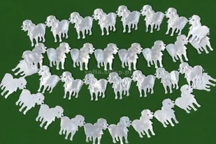 Brewis Aplikacje baranek, 3x3cm 1m 34szt, biały Wielkanoc, Brewis - Wielkanoc Brewis Aplikacje baranek, 3x3cm 1m 34szt, biały Wielkanoc, Brewis - Wielkanoc - miniaturka - grafika 1