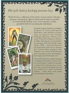 Synergie Tarot Pradawnego Lasu (wydanie polskie) 9788073705473 - Wróżbiarstwo i radiestezja - miniaturka - grafika 2