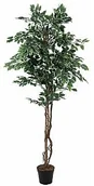 Sztuczne drzewka - Europalms Europalms Variegated Ficus, 180cm, Sztuczne drzewo 82506116 - miniaturka - grafika 1