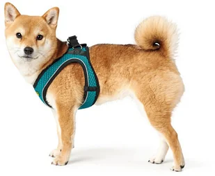 Hunter HUNTER Szelki Hilo Comfort turkusowe S 67137 - Szelki dla psów - miniaturka - grafika 3